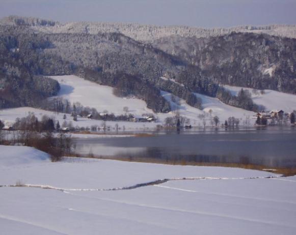 Bauernhof Kasleitner Villa Zell am Moos Dış mekan fotoğraf