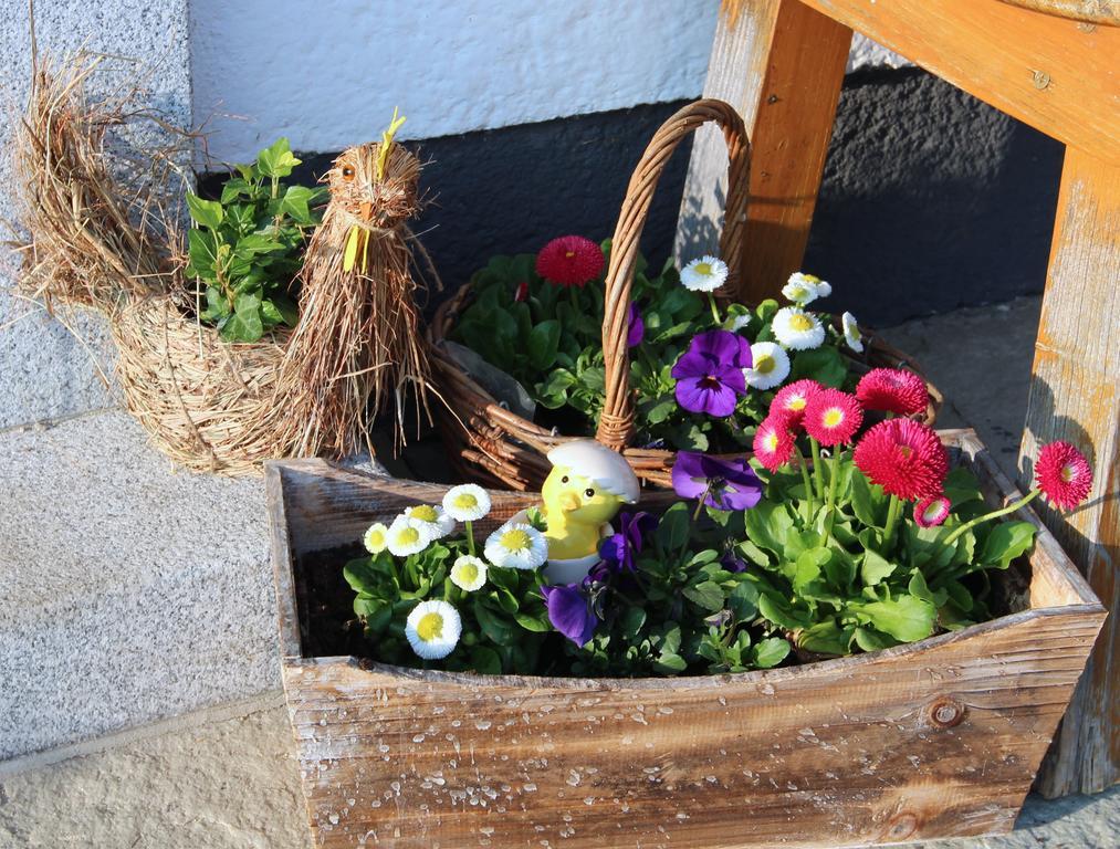 Bauernhof Kasleitner Villa Zell am Moos Dış mekan fotoğraf
