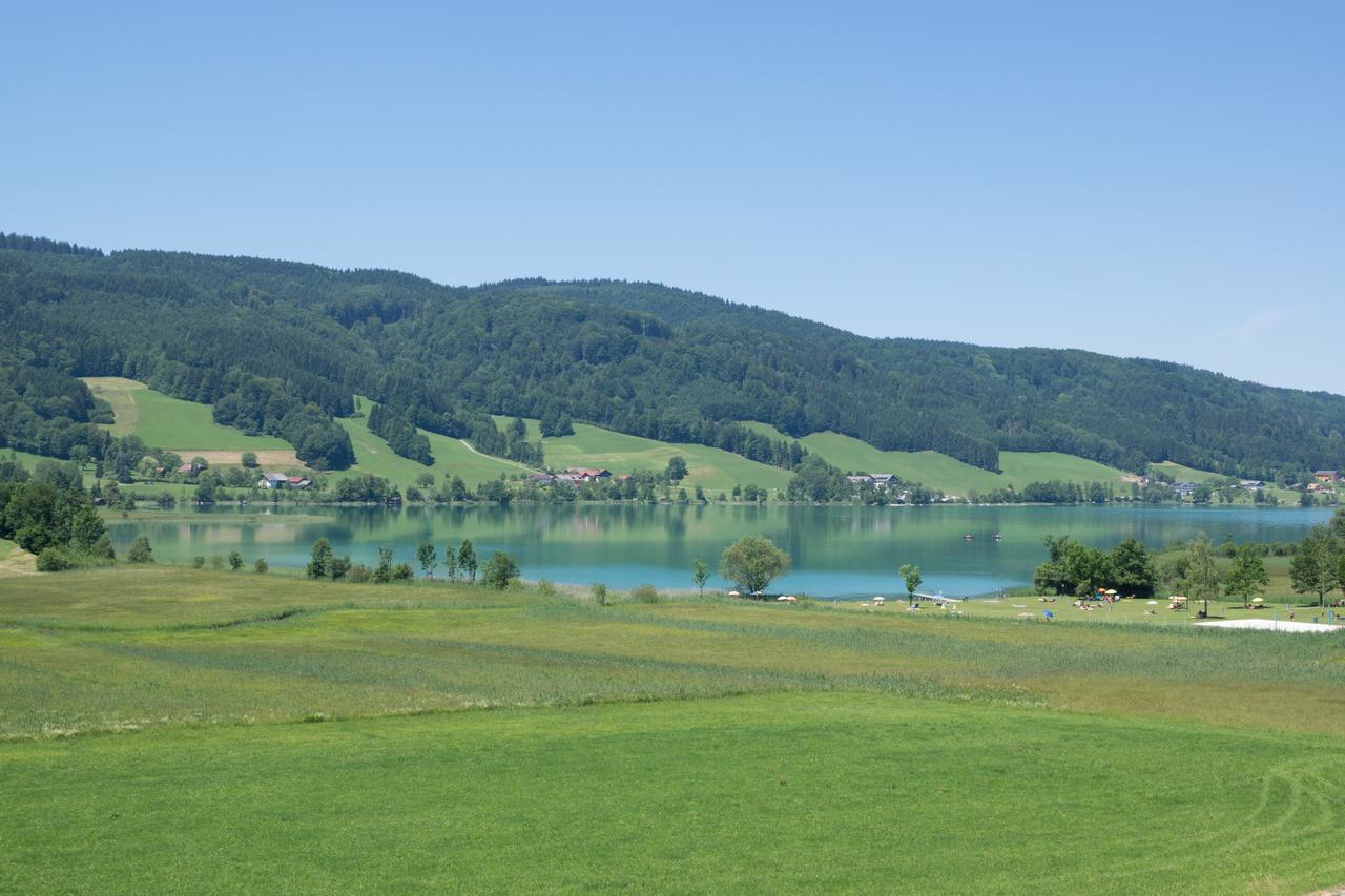 Bauernhof Kasleitner Villa Zell am Moos Dış mekan fotoğraf