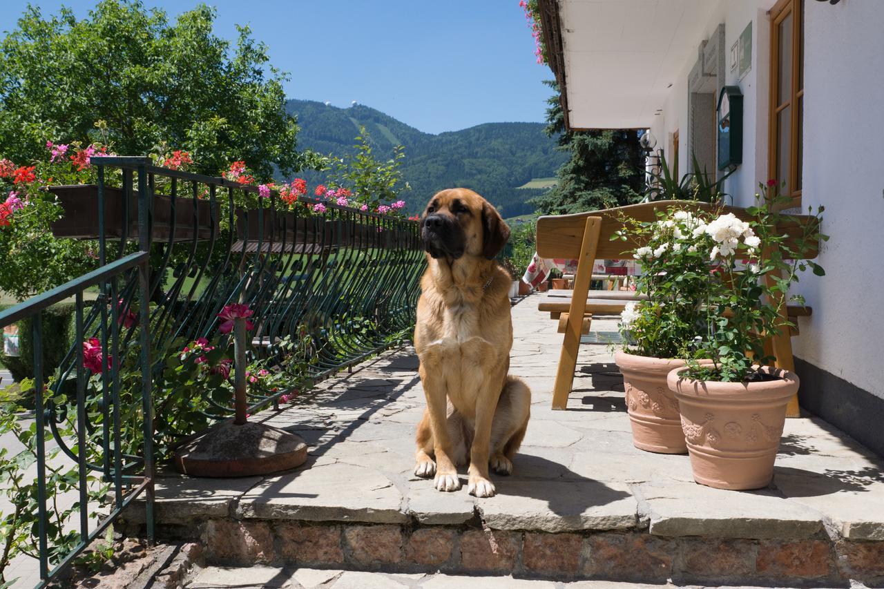 Bauernhof Kasleitner Villa Zell am Moos Dış mekan fotoğraf